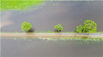 Ganze Wiesen und Felder sind nach den anhaltenden Regenfällen überschwemmt. Das hat auch Folgen für die Landwirtschaft.