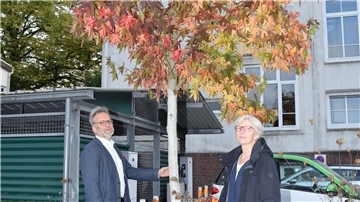 Gartenbauamtsleiter Thomas Reinicke und Landschaftsarchitektin Liselotte Gundermann halten Amberbäume für geeignete Straßenbäume.