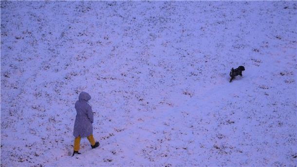 Der Winter meldet sich zurück - Unfälle und Schulausfälle Gassigehen auf den verschneiten Elbwiesen in Dresden.