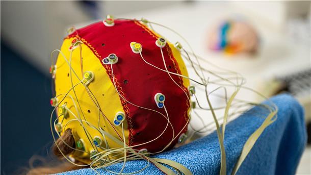 Das EEG entschlüsselt seit 100 Jahren unser Gehirn Gedankenlesen mit einem EEG ist laut Experten bislang nur begrenzt möglich.