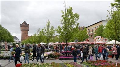 Wochenmarkt in Geestemünde