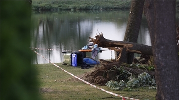 Gestürtzte Bäume liegen am St. Andräer See in Kärnten in Österreich. Bei einem schweren Unwetter sind zwei Kinder von umstürzenden Bäumen erschlagen worden.