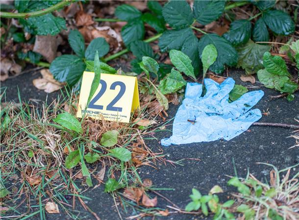 Gleich nach dem Fund der Leiche nahe der Geeste-Brücke in Bremerhaven sicherte die Polizei Dutzende von möglichen Spuren. Jetzt geht sie vielen Hinweisen aus der Bevölkerung nach - und leuchtet das gesamte Umfeld des weiblichen Opfers aus.