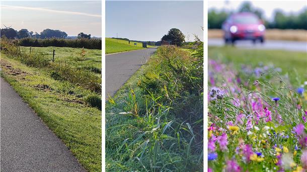Golfplatzähnliche Seitenränder (links) ade: Dort, wo es die Verkehrssicherungspflichten erlauben, will die Gemeinde Wurster Nordseeküste Straßenränder künftig seltener und wechselweise mähen. Blühende Straßenränder (rechts) sind vorerst aber noch eine Vision.