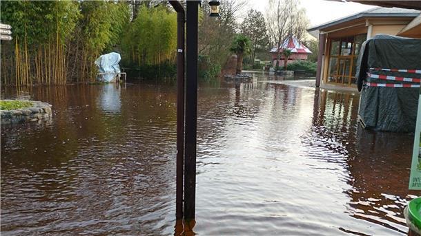 Keine Entwarnung in Hochwasser-Gebieten Große Teile des Serengeti-Parks Hodenhagen sind überflutet. Die ersten Tiere mussten evakuiert werden.