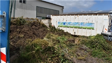 Grünabfälle können stets auf dem Recyclinghof in Nordenham entsorgt werden. An diesem Samstag werden sie auch bei der Turnhalle in Stollhamm angenommen.