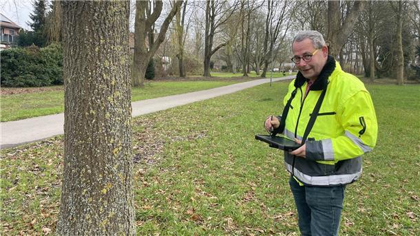 Bild von Rainer Stoffers, Grünflächenplaner bei der Stadt Nordenham, bei der Erfassung eines Baums in einem elektronischen Kataster