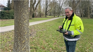 Bild von Rainer Stoffers, Grünflächenplaner bei der Stadt Nordenham, bei der Erfassung eines Baums in einem elektronischen Kataster