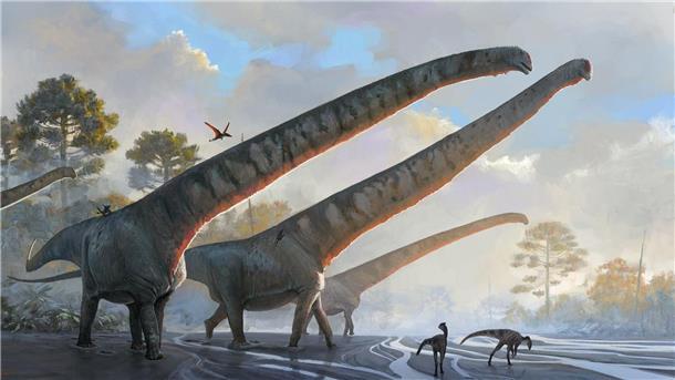 Wissenschaftler finden Dinosaurier mit bislang längstem Hals Halslänge von mehr als 15 Metern: Die Illustration des Natural History Museums zeigt Vertreter der Art Mamenchisaurus sinocanadorums.
