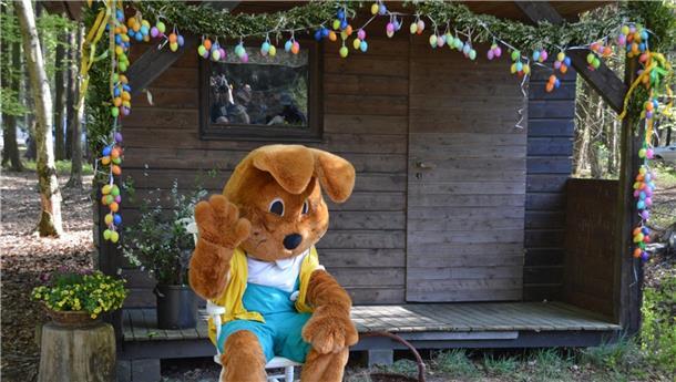 Worauf sich Kinder bei Hanni Hase in Ostereistedt freuen dürfen Hanni Hase freut sich vor seiner Hütte am Waldrand in Ostereistedt auf kleine und große Besucher.