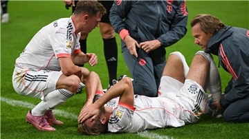 Harry Kane hat sich beim Bayern-Sieg in Frankfurt offenbar nicht schwerer verletzt.