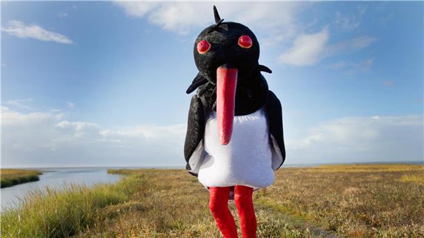 Schauspieler in Austernfischer-Kostüm steht irgendwo an der Nordseeküste.