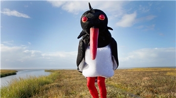 Schauspieler in Austernfischer-Kostüm steht irgendwo an der Nordseeküste.