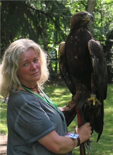 Heidi Huth-Hinrichs vom Tierschutzverein mit einem Steinadler. Bei der Haustiermesse am Sonntag, 27. August, wird wieder ein Falkner vertreten sein.