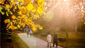 Herbstimpressionen mit Spaziergängern im Speckenbütteler Park: Die milden Temperaturen laden dazu ein, draußen zu sein. Foto: Hartmann
