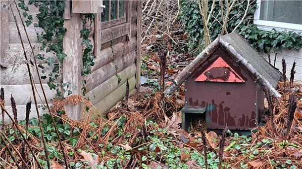 Hermann Kück hat dem Igel ein kleines Haus auf seinem Grundstück gebaut.