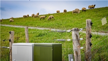 Hier ein Blick auf einen elektrischen Weidezaun am Neuenlander Lunesiel.