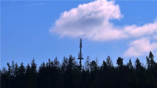 Handynutzer sollen Funklöcher aufspüren Hier gibt es Handynetz - anderswo fehlen hingegen noch Mobilfunkmasten im Wald, an Wiesen oder an Bauernhöfen. (Symbolbild)