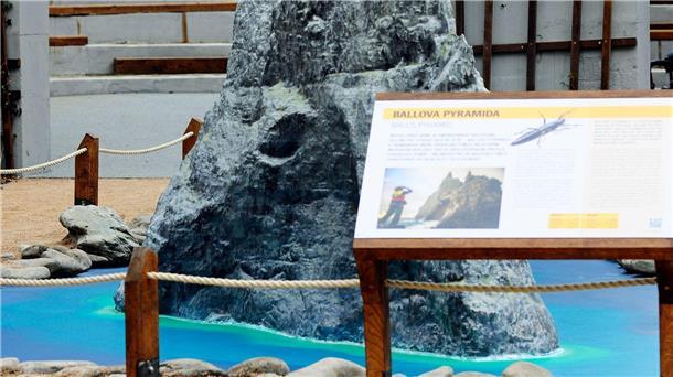 Gespenstische Baumhummer Hier im Prager Zoo leben neuerdings Baumhummer.