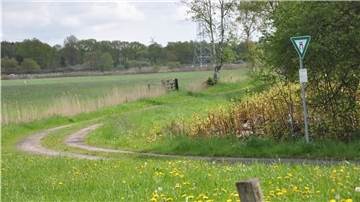 Hier sieht es noch genauso aus wie vor fünf Monaten: Von der eingezäunten Freilauffläche für Hunde, die an der Lindenallee in Wulsdorf entstehen soll, ist nichts zu sehen. Archivfoto: Melchers