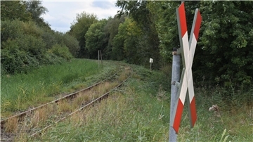 Ein Andreaskreuz an einer stillgelegten, von Gras überwucherten Bahnstrecke. Die Chancen sind gestiegen, dass die Bahnstrecke Nordenham - Blexen reaktiviert wird. 