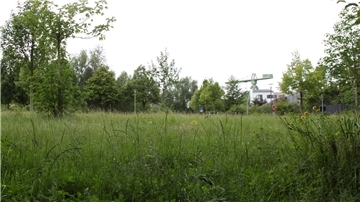 Hier soll der neue Insektenlehrpfad entstehen. 