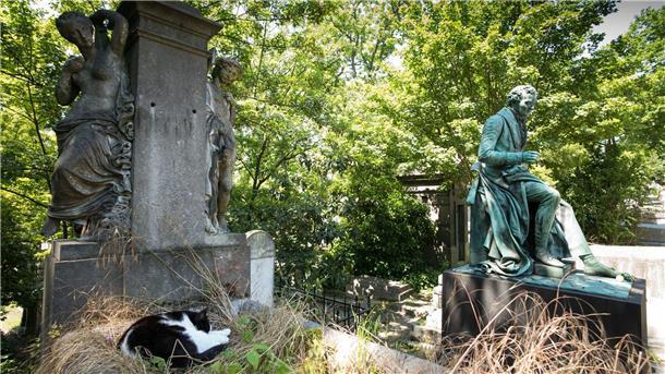 Historische Grabstätten auf Pariser Friedhöfen warten auf eine neue Nutzung. (Archivbild)