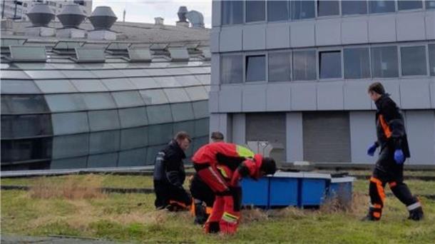 Höhenretter der Feuerwehr waren auf dem Dach des Conference Centers im Einsatz - wegen einer Entenfamilie.