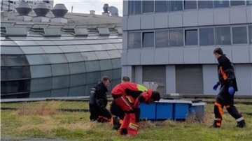Höhenretter der Feuerwehr waren auf dem Dach des Conference Centers im Einsatz - wegen einer Entenfamilie.