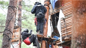 Höhenretter der Polizei sind bei der Räumung des Protestcamps der Tesla-Gegner an einem Baumhaus im Einsatz.