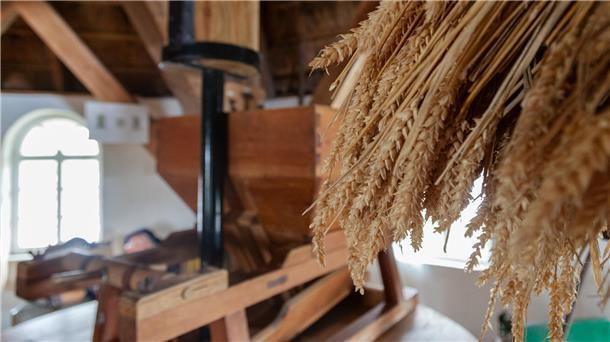 Das passiert hinter den Kulissen der Midlumer Mühle Midlum Mühle