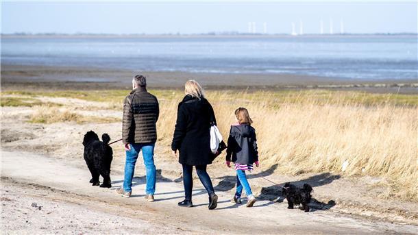 Mit dem neuen Hund in der Familie glücklich werden Hunde bereiten manchen Familien viel Freude, aber auch Arbeit.