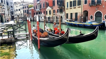 Hunderte Gondeln sind in Venedig unterwegs und befördern vorwiegend Touristen.