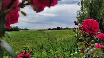 Wremen Baugebiet Strandstraße