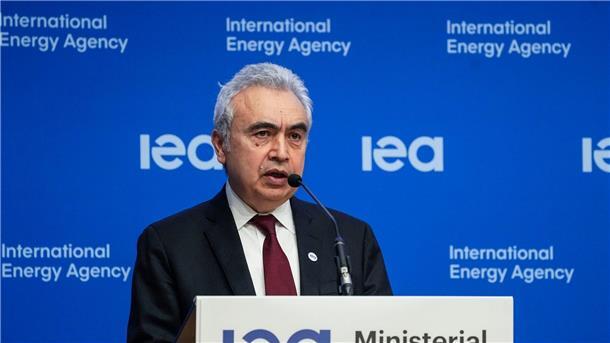 IEA-Exekutivdirektor Fatih Birol im März 2022 in Paris.