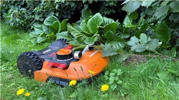Das Foto zeigt, wie ein Mähroboter einen Igel bedrängt. 