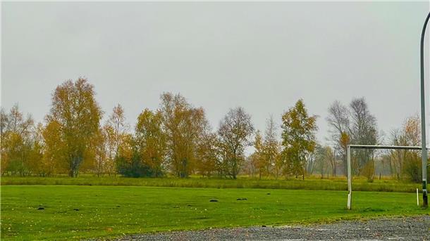 Illegal installierte Wühlmaus-Fallen auf dem Findorfer Bolzplatz wurden im Sommer 2023 einem damals achtjährigen Jungen zum Verhängnis.