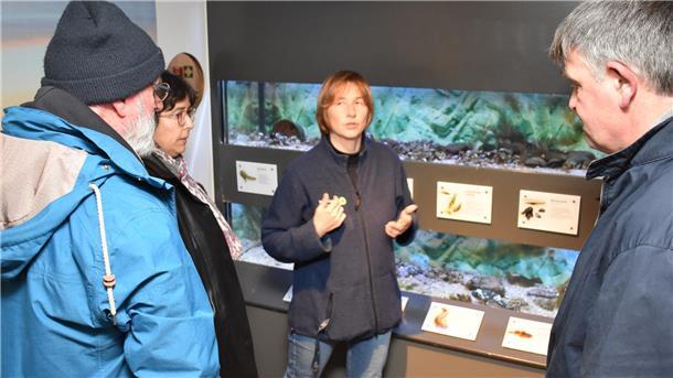 Im Aquarien-Bereich des Nationalpark-Hauses und Museums in Fedderwardersiel erläuterte Hausleiterin Dr. Anika Seyfferth Ratsmitgliedern die angestrebten Investitionen.