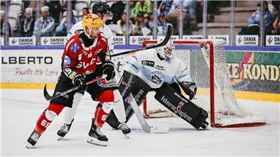Ein rauschendes CHL-Fest deutsch-dänischer Freundschaft Im August verloren die Fischtown Pinguins ein Testspiel gegen SønderjyskE Vojens.