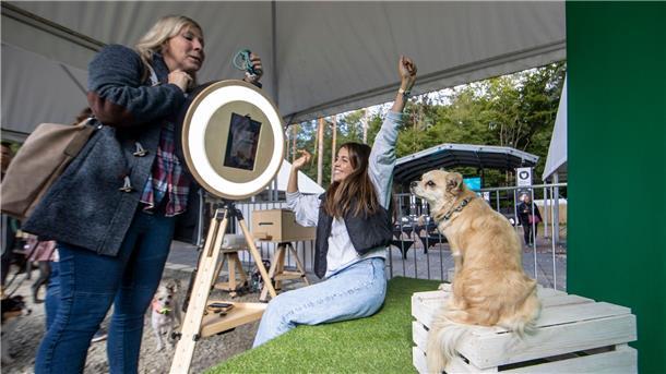 Erfolgreiche Hunde im Netz: Petfluencer-Awards verliehen Im besten Licht: Nicht fehlen durfte auf dem Gelände der „German Petfluencer Awards“ natürlich eine Kulisse für Fotoshootings.