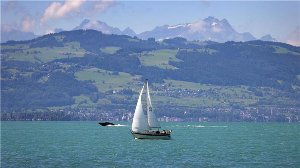 Zweite Leiche im Bodensee gefunden Im Bodensee sind zwei Leichen entdeckt worden.