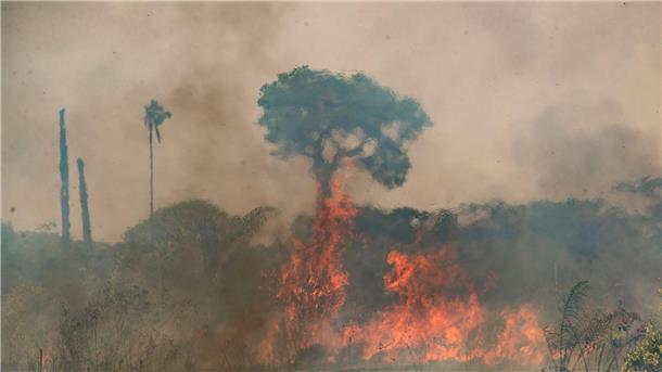 Im brasilianischen Amazonasgebiet toben die schwersten Brände seit fast 20 Jahren. 