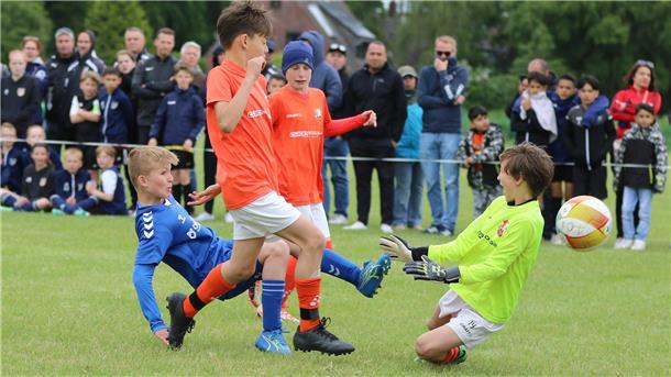 VfB Oldenburg gegen SC Borea Dresden
