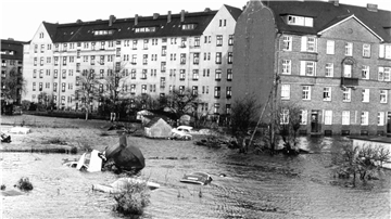 Autodächer ragen aus den Fluten im Hamburger Stadtteil Wilhelmsburg.