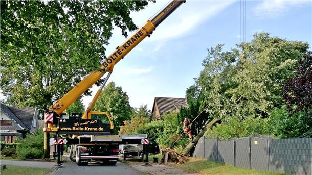 Ein Kran hebt einen umgestürzten Baum.