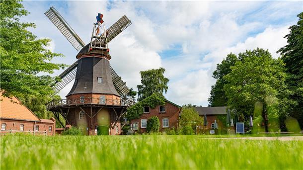 Sommerkino Open-Air in der Seefelder Mühle Im Innenhof Seefelder Mühle findet am Freitag, 29. August, wieder das Sommerkino Open Air statt.