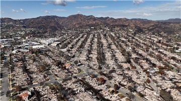 Im Januar hatten verheerende Brände ganze Viertel von Los Angeles verwüstet. (Archivbild)