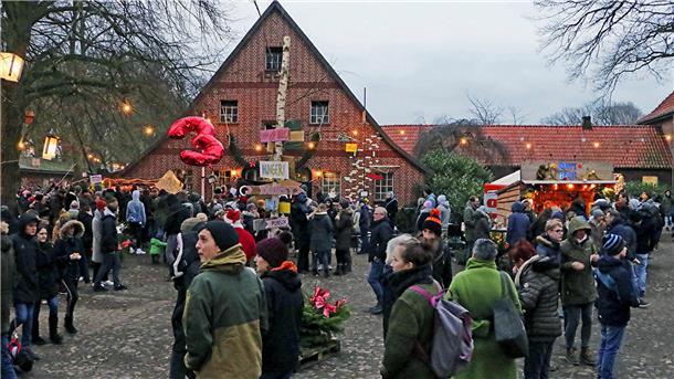 Im Kliemannsland sollen kleine Ferienhäuser entstehen.