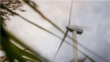 Im Landkreis Cuxhaven drehen sich schon jetzt - wie hier in Misselwarden - eine Menge Windkraftanlagen. Das neue Ausbauziel ist aber bei weitem noch nicht erreicht.