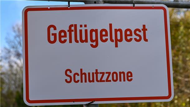 Im Landkreis Rotenburg ist die Geflügelpest ausgebrochen. Tierhalter haben jetzt einiges zu beachten, um ihren Bestand zu schützen.